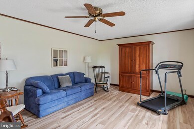 22958 E Trap Pond Rd, Georgetown, DE 19947 - photo 6