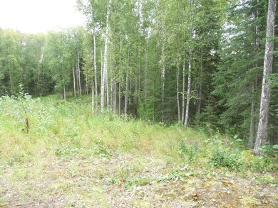 14248 W Holly Loop, Big Lake, AK 99652 - photo 3