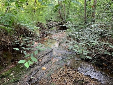 1054 Mount Sinai Rd, Lula, GA 30554 - photo 4