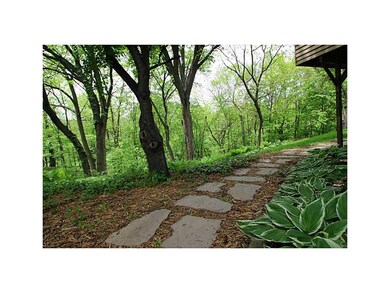 . Back Yard Stone Path