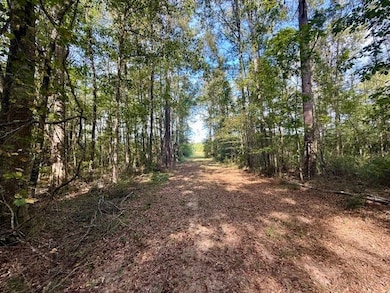 325 Beartown Rd, Jayess, MS 39641 - photo 2