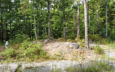 11758 Chatsworth Hwy, Ellijay, GA 30540 - photo 5