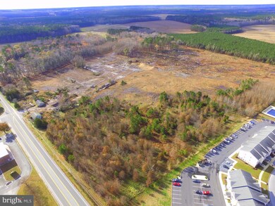 21566 Vaughn Rd, Georgetown, DE 19947 - photo 2