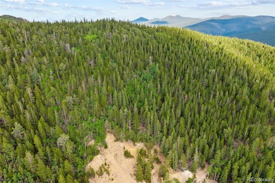 0 Lamartine Rd unit REC1819231, Idaho Springs, CO 80452 - photo 4