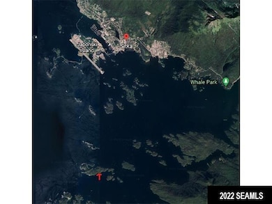 NHN: C-2RB Long Island, Sitka, AK 99835 - photo 5