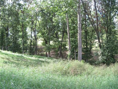 0 Brush Creek Rd unit 696587, Tontitown, AR 72770 - photo 3