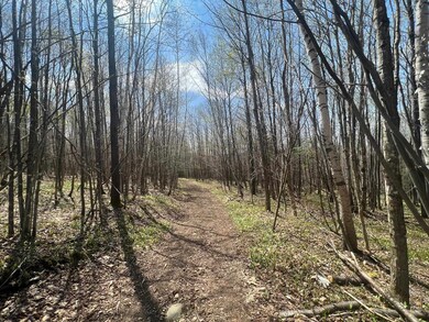 - Back Farm Rd, Clarksville, NH 03592 - photo 4