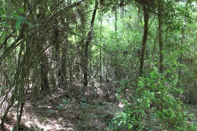 0 Fm 2497 unit 62476, Hudson, TX 75904 - photo 5