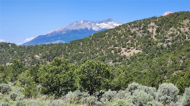 4536 Sarnoff Rd, Fort Garland, CO 81133 - photo 7