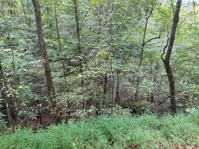 0 Chancel Cir unit 1525212, Ellijay, GA 30540 - photo 2