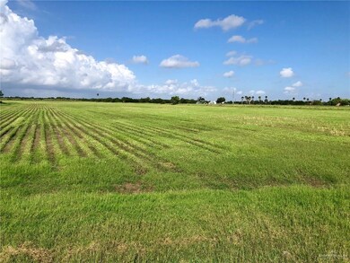 NN Billman Rd, Donna, TX 78537 - photo 2