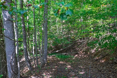 00 Winding Way Dr, Franklin, NC 28734 - photo 3