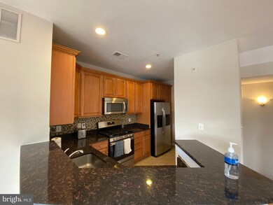 13057 Marcey Creek Rd unit 13057, Herndon, VA 20171 - photo 5