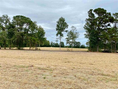 TBD Wise Farm Rd unit Parcel C, Aynor, SC 29511 - photo 5