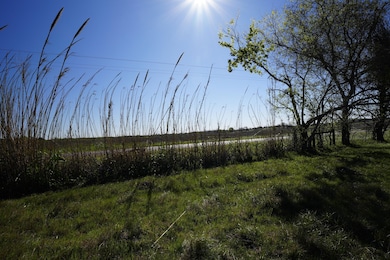 5545 Falke-Heinrich Rd, Schulenburg, TX 78956 - photo 3