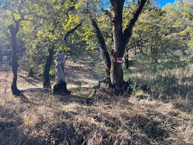 5290 Butler Ranch Rd, Ukiah, CA 95482 - photo 5