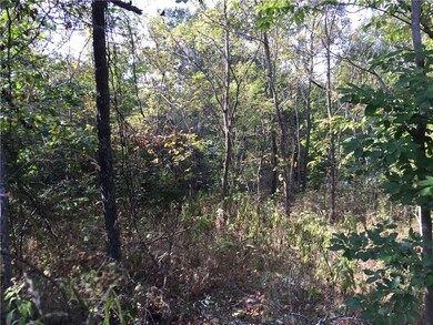 0 Partney Cir, Bella Vista, AR 72715 - photo 3