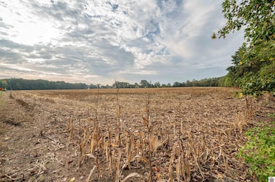 00 E State Line Rd, Hazel, KY 42049 - photo 3