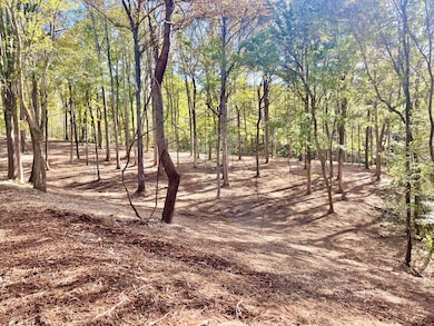 0 Harper Rd unit RTC2945401, Clarksville, TN 37043 - photo 2