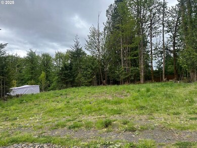 0 Ave unit 439855536, Vernonia, OR 97064 - photo 4