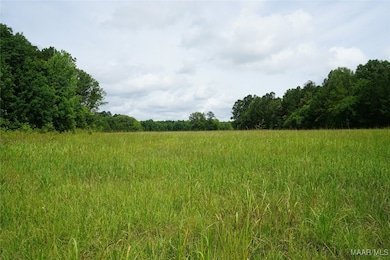 640 Barnes Rd, Pike Road, AL 36064 - photo 6