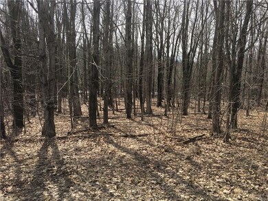 Land view