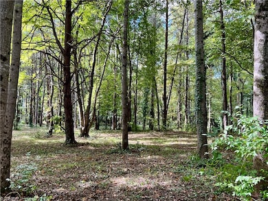 00 Jackson Rd unit 8.64 Ac, Mount Airy, NC 27030 - photo 5