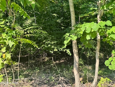 617 N, Allons, TN 38541 - photo 4