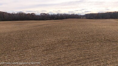 Vl Windsor Hwy, Dimondale, MI 48821 - photo 3