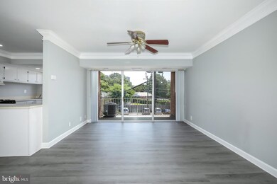 3706 N Rosser St unit 204, Alexandria, VA 22311 - photo 7