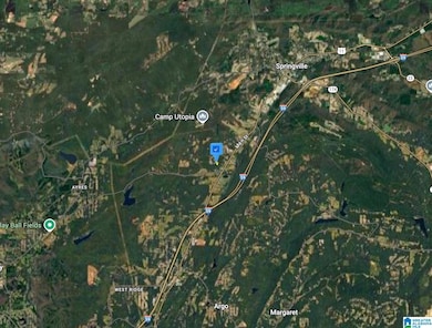 800 Cody Cir, Springville, AL 35146 - photo 3