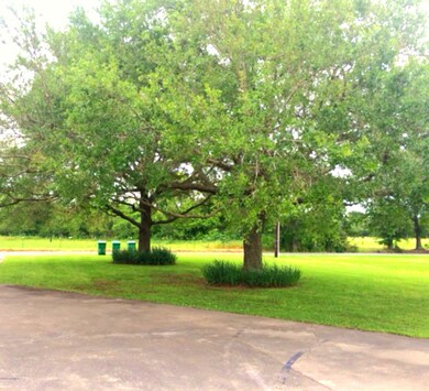 trees side2