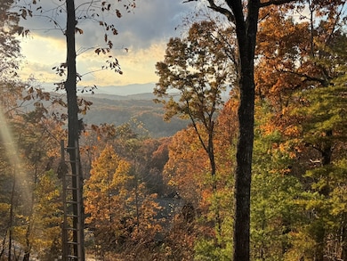 664 Fox Run Dr, Blue Ridge, GA 30513 - photo 3