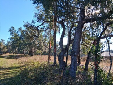 0 Long Cir unit MFRW7880916, Webster, FL 33597 - photo 5