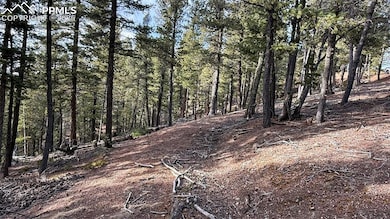 View of local wilderness with a forest view