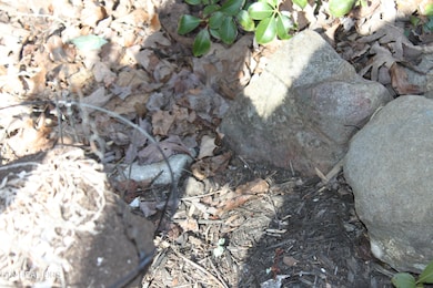 299 Harmony Way, Cosby, TN 37722 - photo 5