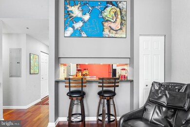 BridgeView Place unit 412, Philadelphia, PA 19106 - photo 4