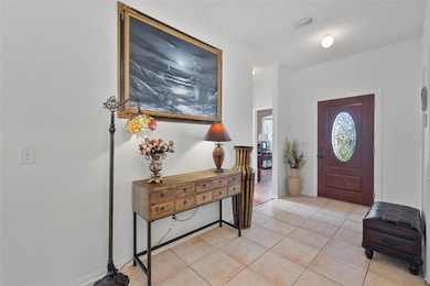 10332 Beneva Dr, Tampa, FL 33647 - photo 6