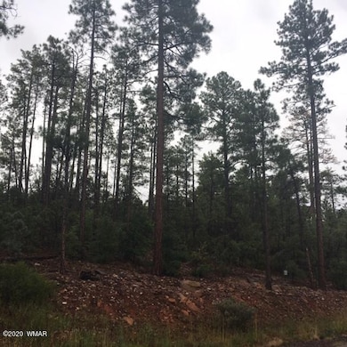 2321 S Bristlecone Dr, Show Low, AZ 85901 - photo 5