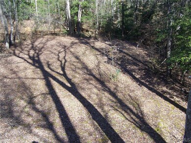 Cleared Space for a Pool