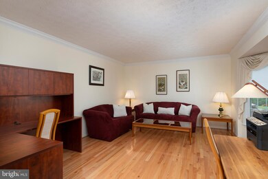 5467 Autumn Field Ct, Ellicott City, MD 21043 - photo 5