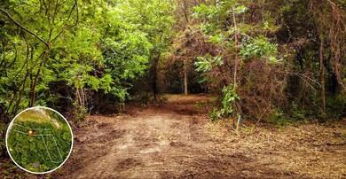 315 Longhorn Trail, Weatherford, TX 76087 - photo 7