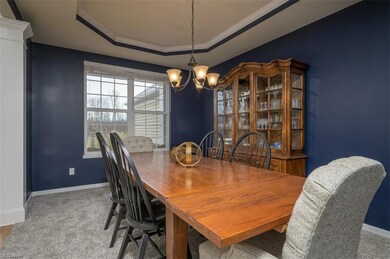 635 Joseph Dr, Aurora, OH 44202 - photo 7