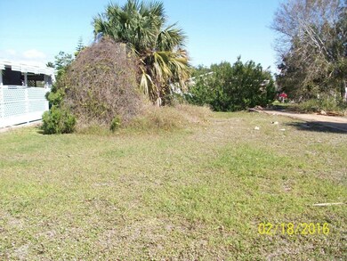 SHRUBS AND BUSHES CLEARED