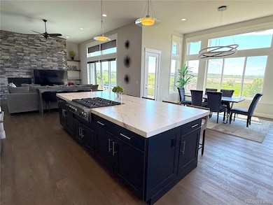 3125 Red Kit Rd, Franktown, CO 80116 - photo 7