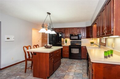 8246 Bradfords Gate, Olmsted Falls, OH 44138 - photo 5