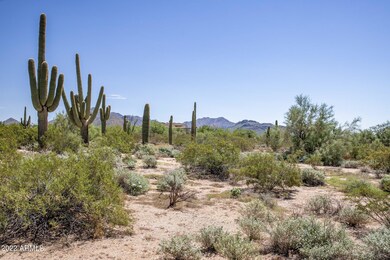 6-web-or-mls-D46A6275