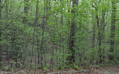 Additional View