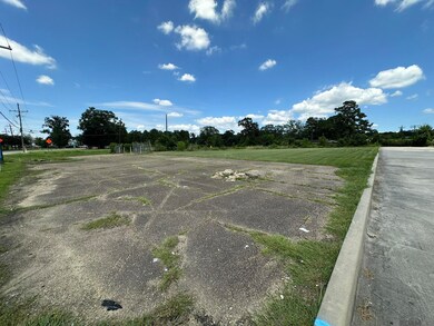 630 S Range Ave, Denham Springs, LA 70726 - photo 5