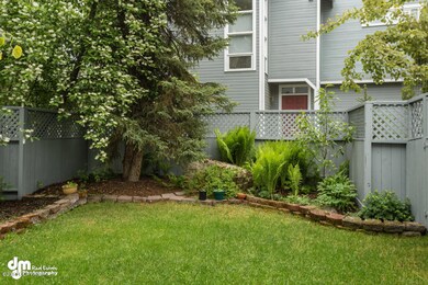 Backyard 0353-SMALL